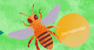 MusiKonzept Journal "Das Bienenlied" - E-Book PDF Download