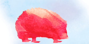 Original Image