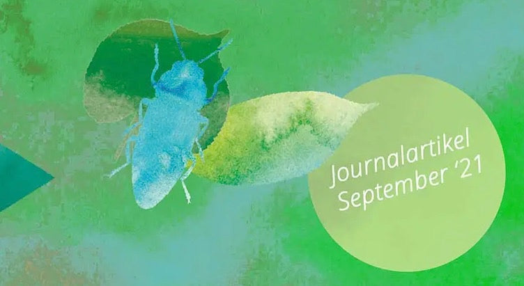 MusiKonzept Journal "Im Wald, wenn es dunkel wird" - E-Book PDF Download