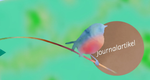 MusiKonzept Journal "Die Vögel Piep und Matz tanzen am Himmel" - E-Book PDF Download