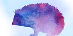"Igel sucht ein Winterquartier" - Noten Download