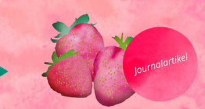 
            
                Laden Sie das Bild in den Galerie-Viewer, MusiKonzept Journal &amp;quot;Das Erdbeerfest&amp;quot; - E-Book PDF Download
            
        