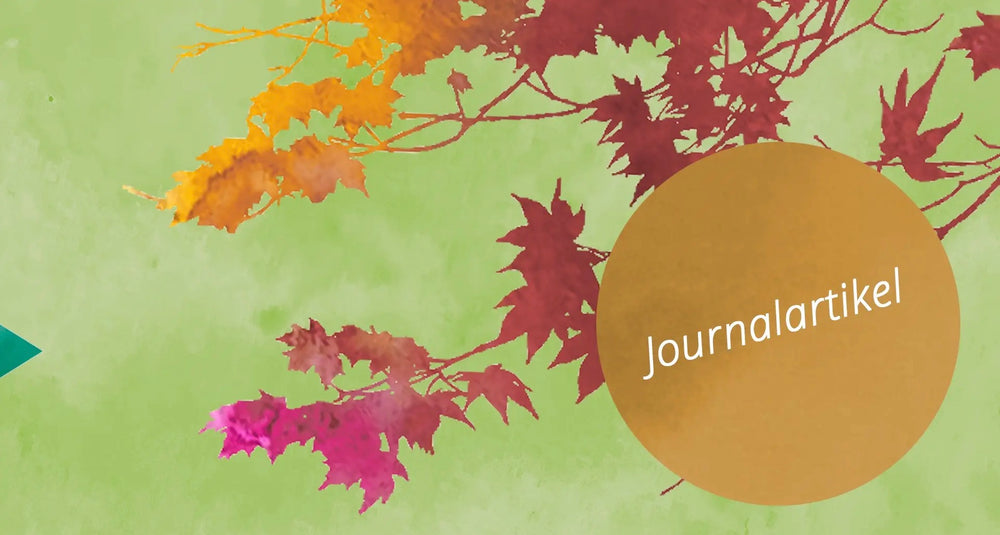 MusiKonzept Journal "Der Herbst kommt" - E-Book PDF Download